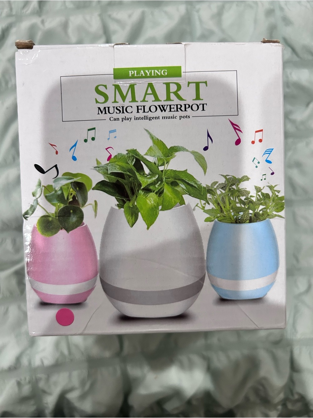 Music Flowerpot Smart Planter - Pink